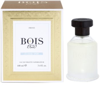 Bois 1920 Classic 1920 toaletná voda unisex 100 ml