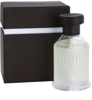Bois 1920 Classic 1920 toaletná voda unisex 100 ml