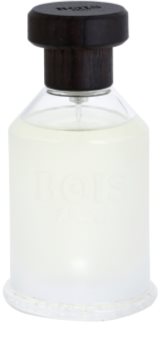 Bois 1920 Classic 1920 toaletná voda unisex 100 ml