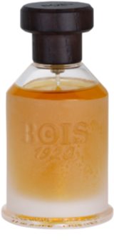 Bois 1920 Real Patchouly toaletná voda unisex 100 ml