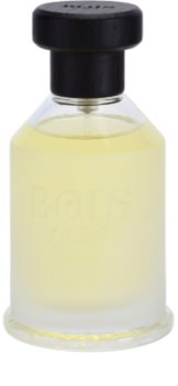 Bois 1920 Vetiver Ambrato Eau de Toilette unisex 100 ml