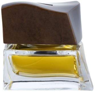 Brioni Eau de Toilette Eau de Toilette for Men 75 ml