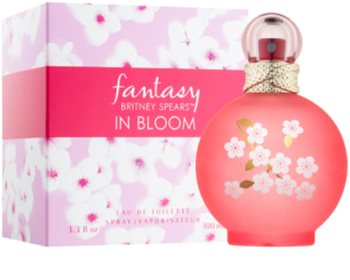 Britney Spears Fantasy in Bloom eau de toilette pour femme 100 ml