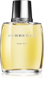 Burberry Burberry for Men Eau de Toilette Herren 100 ml