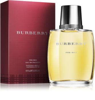 Burberry Burberry for Men Eau de Toilette Herren 100 ml