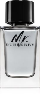 burberry mr. burberry