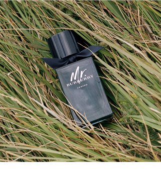 Burberry Mr. Burberry Indigo туалетна вода для чоловіків 100 мл