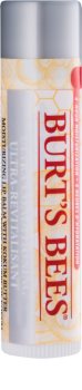 Burt’s Bees Lip Care Balsam für trockene Lippen