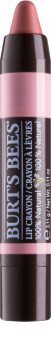 Burt’s Bees Lip Crayon šminka v svinčniku z mat učinkom