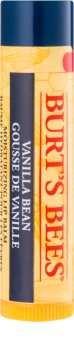 Burt’s Bees Lip Care Moisturizing Lip Balm With Vanilla