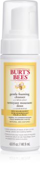 Burt’s Bees Skin Nourishment rozjasňujúca čistiaca pena pre normálnu až zmiešanú pleť