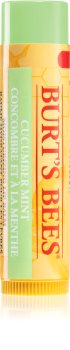 Burt’s Bees Lip Care Lip Balm