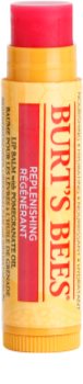 Burt’s Bees Lip Care balsam regenerujący do ust