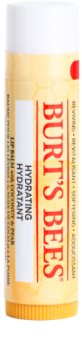 Burt’s Bees Lip Care Moisturizing Lip Balm