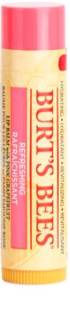 Burt’s Bees Lip Care Refreshing Balm for Lips