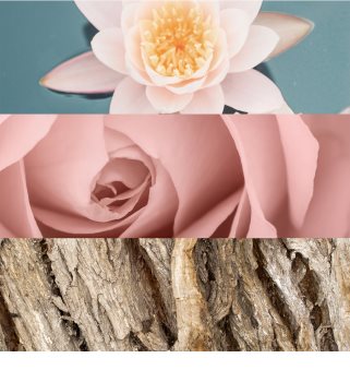 Calvin Klein Deep Euphoria тоалетна вода за жени 100 мл.
