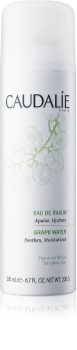 Caudalie Cleaners&Toners Erfrischendes Wasser im Spray für alle Hauttypen, selbst für empfindliche Haut
