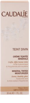 Caudalie Teint Divin mineralna vlažilna tonirana krema