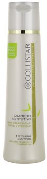 Collistar Special Perfect Hair šampon pro poškozené, chemicky ošetřené vlasy