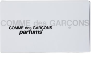 Comme des Garçons Miniatures Collection