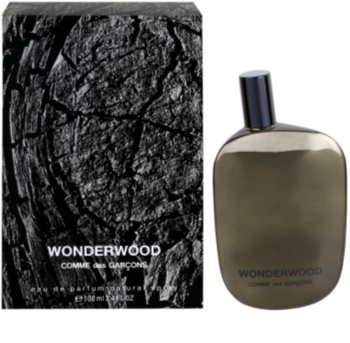 Comme Des Garcons Wonderwood parfémovaná voda pro muže 100 ml