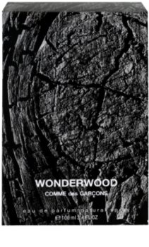 Comme Des Garcons Wonderwood parfémovaná voda pro muže 100 ml