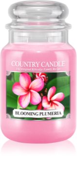 Country Candle Blooming Plumeria dišeča sveča