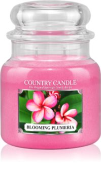 Country Candle Blooming Plumeria vonná svíčka 453 g