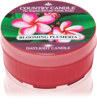 Country Candle Blooming Plumeria Duft-Teelicht 35 g
