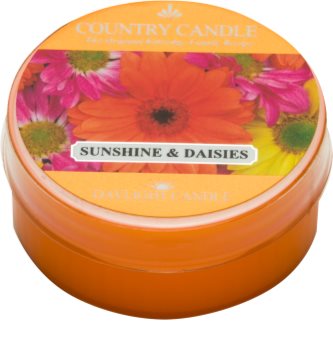 Country Candle Sunshine & Daisies bougie chauffe-plat 42 g
