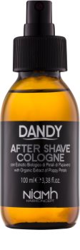 DANDY After Shave After Shave Water