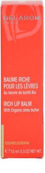 Delarom Essential balsam de buze cu unt de shea organic