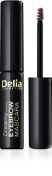 Delia Cosmetics Eyebrow Expert mascara pentru sprâncene