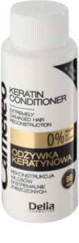Delia Cosmetics Cameleo BB Conditioner mit Keratin für beschädigtes Haar