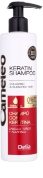 Delia Cosmetics Cameleo BB Shampoo mit Keratin für gefärbtes Haar oder Strähnen