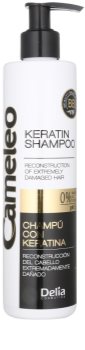 Delia Cosmetics Cameleo BB champô de queratina para cabelo danificado