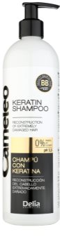 Delia Cosmetics Cameleo BB keratinový šampon pro poškozené vlasy