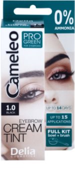 Delia Cosmetics Cameleo Pro Green barva na obočí bez amoniaku