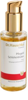 Dr. Hauschka Body Care testápoló olaj kökényből