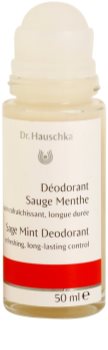 Dr. Hauschka Body Care desodorizante com sálvia e hortelã