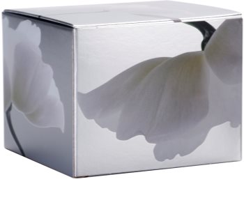 Dr Irena Eris Clinic Way 4° Vernieuwende en Gladmakende Dagcrème tegen Diepe Rimpels SPF 20