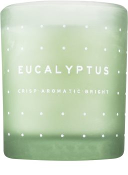 DW Home Eucalyptus vonná svíčka 371,3 g