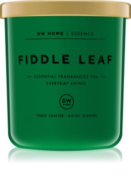 DW Home Fiddle Leaf Geurkaars 255,85 gr