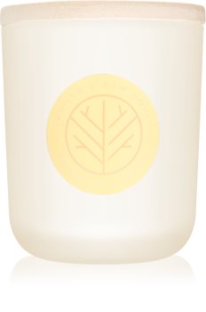 DW Home Vanilla & Raw Honey candela profumata 320,49 g con stoppino in legno