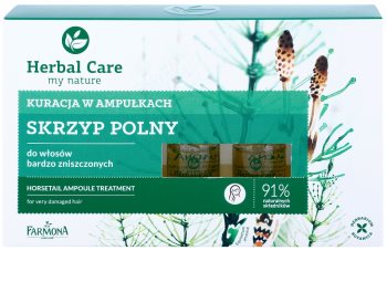 Farmona Herbal Care Horsetail Intensivkur für stark geschädigtes Haar