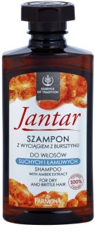 Farmona Jantar sampon pentru par uscat si fragil