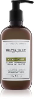 Fellows for Him Citrus Forest šampón na vlasy a fúzy