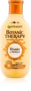 Garnier Botanic Therapy Honey obnovitveni šampon za poškodovane lase