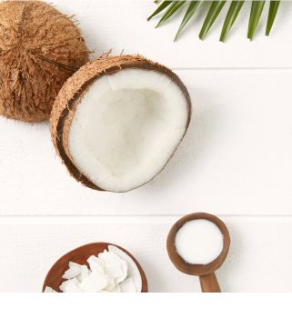 Garnier Botanic Therapy Coco Milk & Macadamia hranilni balzam za suhe in grobe lase