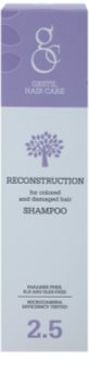 Gestil Reconstruction champô renovador para cabelo danificado e pintado